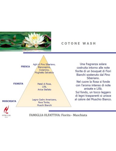 Profumo concentrato per Bucato Cotone Wash Hypno 100ml