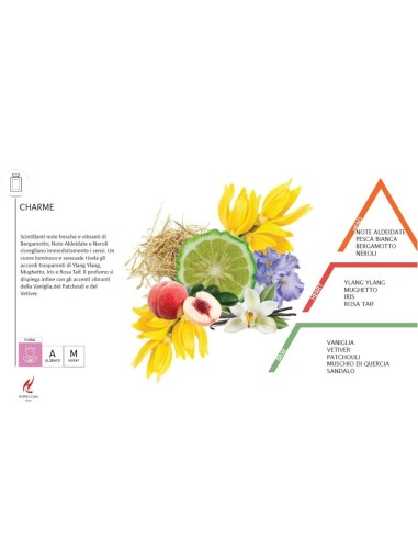 Profumo concentrato per Bucato Charme Luxury Hypno 100ml