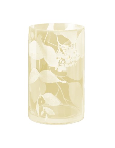 Vaso Botanic Bianco ambra Hervit 20(H) cm