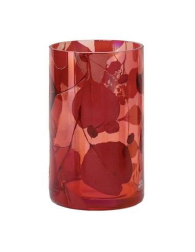 Vaso Botanic Rosso Hervit 20(H) cm