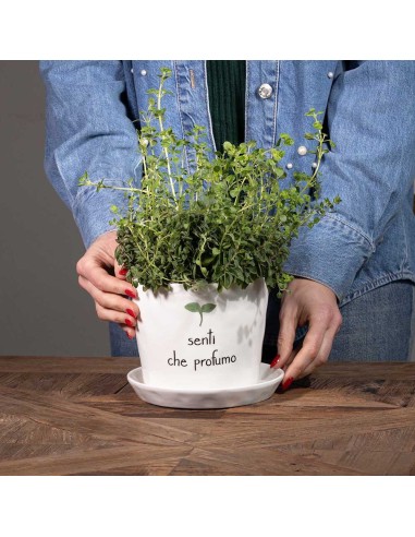 Vaso con sottovaso Senti che profumo Simple Day