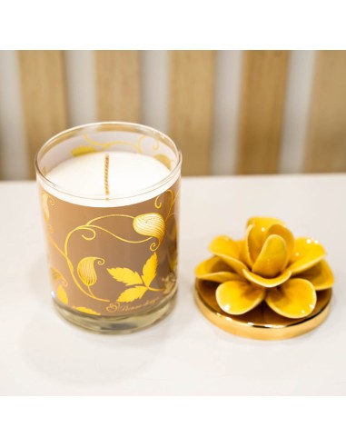 Candela Media Tortora - Pienne Design
