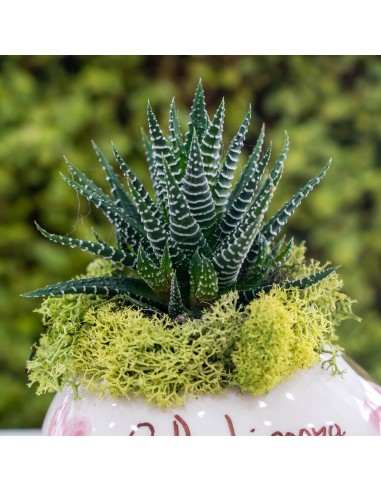 Palloncino Grande Con Piantina Salvia E Rosa - Pienne Design