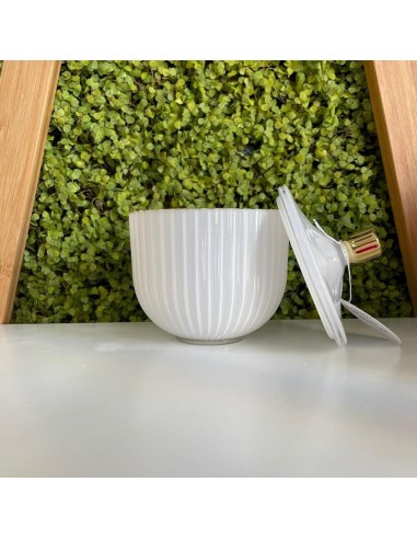 Scatola Portaoggetti Rigata in Vetro bianco Jutta Maison
