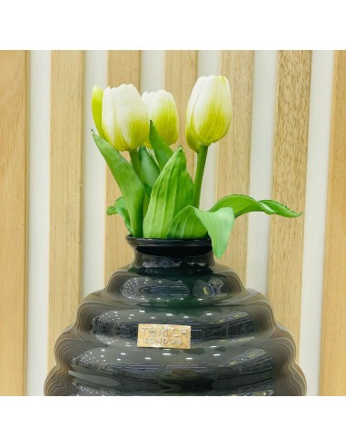 Vaso in Vetro Nero Tom Ch Linea Venezia