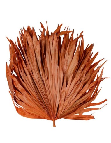 Set di 3 foglie decorative palma arancione