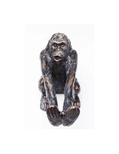 Fermalibri Monkey Duo Set da 2