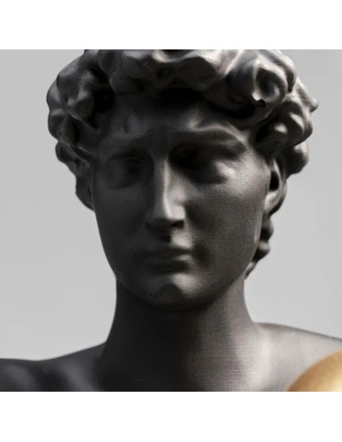 Scultura Decorativa Balboa – Busto Nero con Guantoni Oro in Stile Pop Art