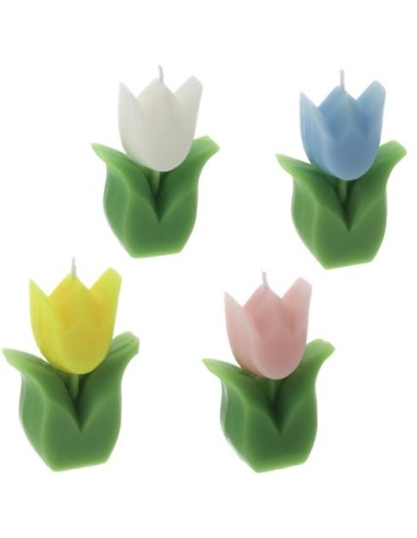 Candela tulipano giallo Hervit