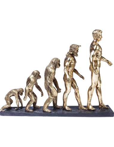 Scultura Decorativa Evoluzione Umana