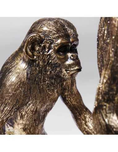Scultura Decorativa Evoluzione Umana