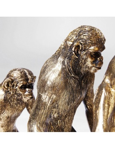 Scultura Decorativa Evoluzione Umana