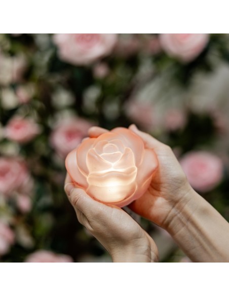 Rosa gialla in vetro satinato con luce led Hervit