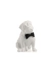 Salvadanaio cane bianco con papillon Ilary Queen
