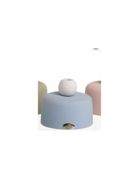 Vasetto celeste con sfera e pampas Ilary Queen