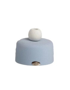 Vasetto celeste con sfera e pampas Ilary Queen
