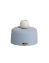 Vasetto celeste con sfera e pampas Ilary Queen