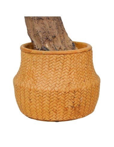 Pianta Agave Artificiale 120 cm con Vaso | Pianta Finta da Interno Realistica