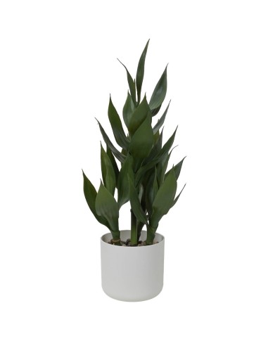 Dracaena Artificiale 60 cm in PE Stilè | Pianta Finta Realistica da Interno