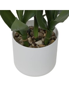 Dracaena Artificiale 60 cm in PE Stilè | Pianta Finta Realistica da Interno 2