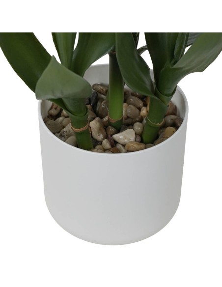 Dracaena Artificiale 60 cm in PE Stilè | Pianta Finta Realistica da Interno