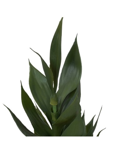 Dracaena Artificiale 60 cm in PE Stilè | Pianta Finta Realistica da Interno
