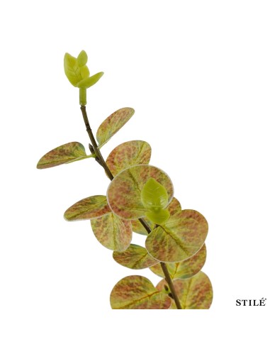 Ramo di Eucalipto Artificiale 96 cm – Foglie Realistiche per Decorazioni Casa e Eventi