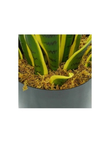 Sanseveria Artificiale 70 cm Stilè | Pianta Decorativa da Interno