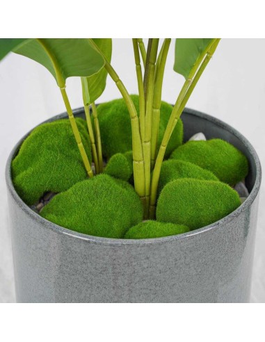 Pietre Decorative in Muschio e Fibre – Set da 12 per Casa, Giardino e DIY