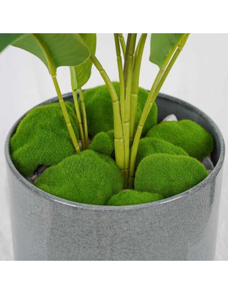 Pietre Decorative in Muschio e Fibre – Set da 12 per Casa, Giardino e DIY