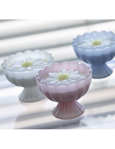 Candela Daisy Rosa profumata J'adore Hervit