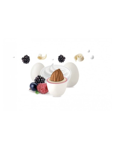 Confetti Maxtris YOGURT AI FRUTTI DI BOSCO 1 KG.