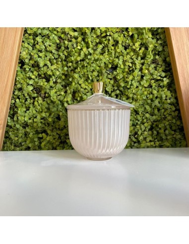 Scatola Portaoggetti Rigata in Vetro Cipria Jutta Maison
