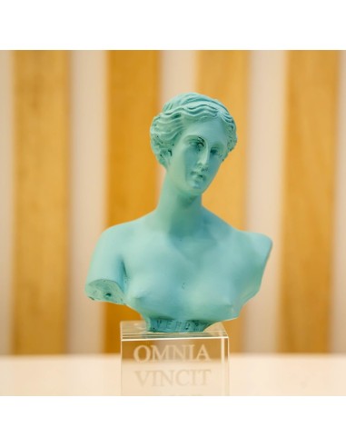 Busto Venus tiffany Omnia Vincit Amor
