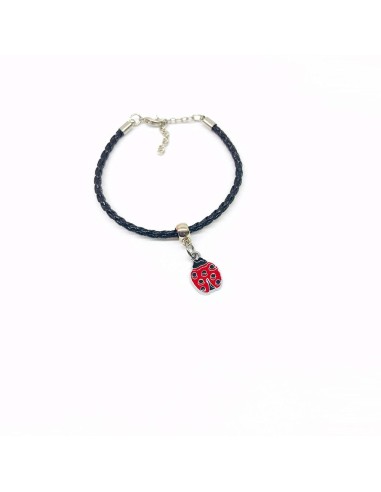 Gadget Mini coccinella in metallo smaltato Greenford