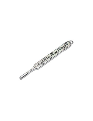Gadget Termometro grande in metallo cromato Greenford