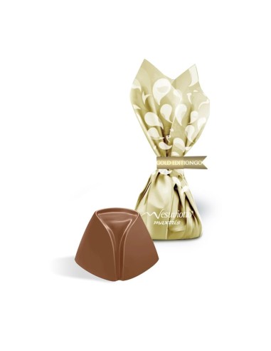 Vesuviotto Maxtris Gold Edition al Cioccolato 160 gr.