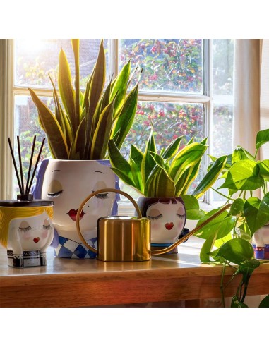 Vaso Mim? Viola le Pupazze Egan 12(H) cm
