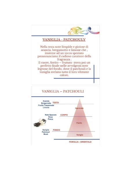 Diffusore con Bastoncini Vaniglia Patchouly Hypno Casa 250 ml