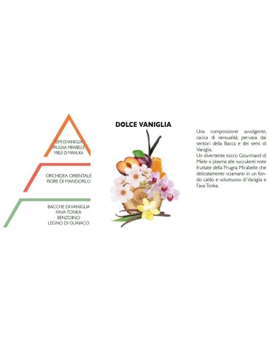 Diffusore con Bastoncini Dolce Vaniglia Hypno Casa 250 ml