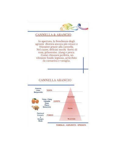 Diffusore con Bastoncini Cannella e Arancio Hypno Casa 250 ml