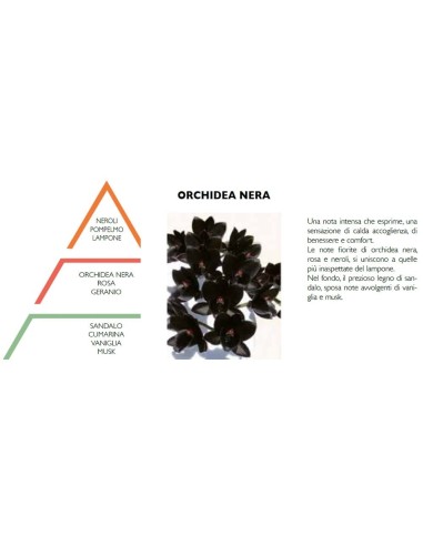 Ricarica per diffusore Orchidea Nera Hypno Casa 500 ml