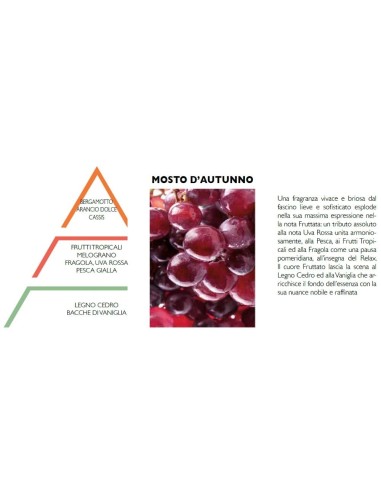 Ricarica per diffusore Mosto d'Autunno Hypno Casa 500 ml