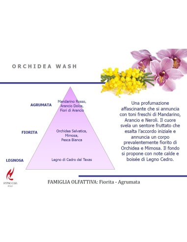 Profumo concentrato per Bucato Orchidea Wash Hypno 100ml